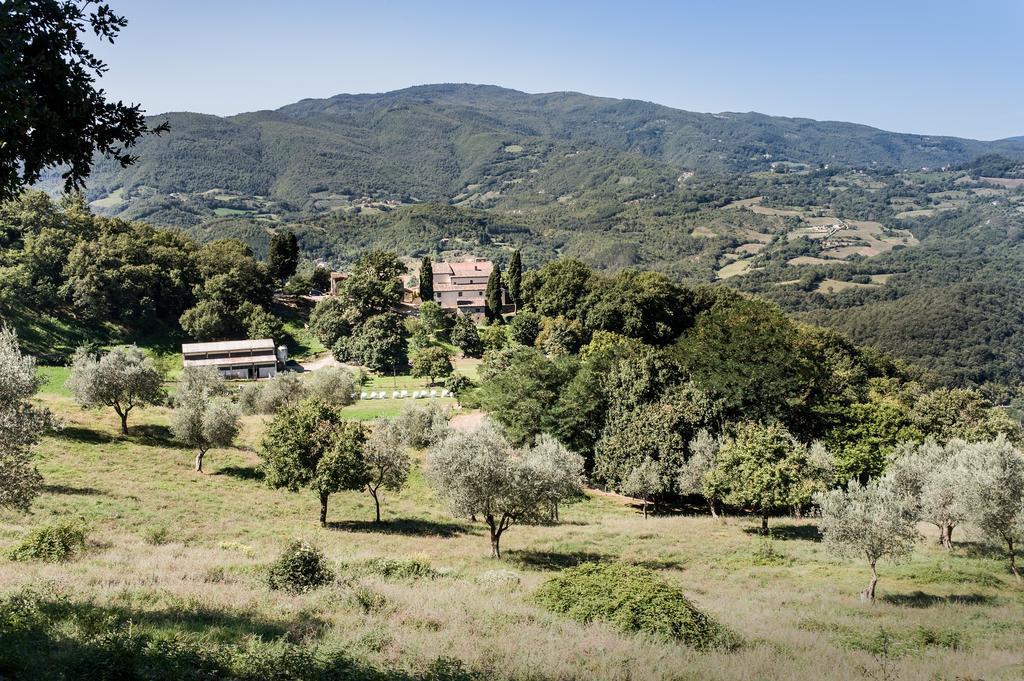 Agriturismo Di Baroni Enzo Dicomano Exterior foto